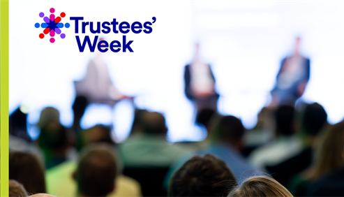 In conversation with trustees and charities: successes, challenges and lessons to share